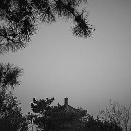 菲尼克斯NT参战《机动战士高达：激战任务2》